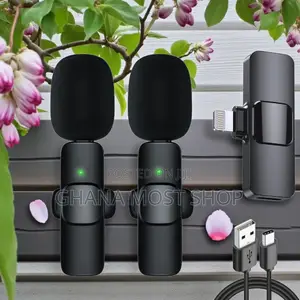 Long Battery Life 2 in 1 Wireless Microphone (74067)