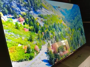 TCL 55-Inch Smart Roku Tv – Stream Everything With Ease