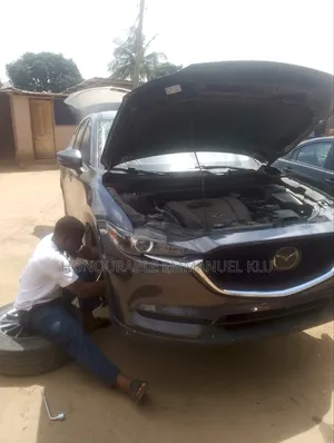 Professional Mechanic