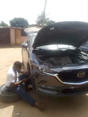 Professional Mechanic