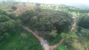 16 Acres of Registered Land for Sale at Aburi