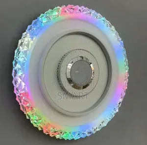 Modern Indoor Living Room Led Ceiling Light With Bluetooth + Remote