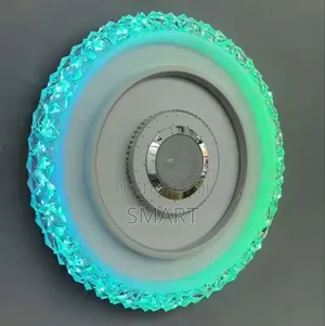 Modern Indoor Living Room Led Ceiling Light With Bluetooth + Remote