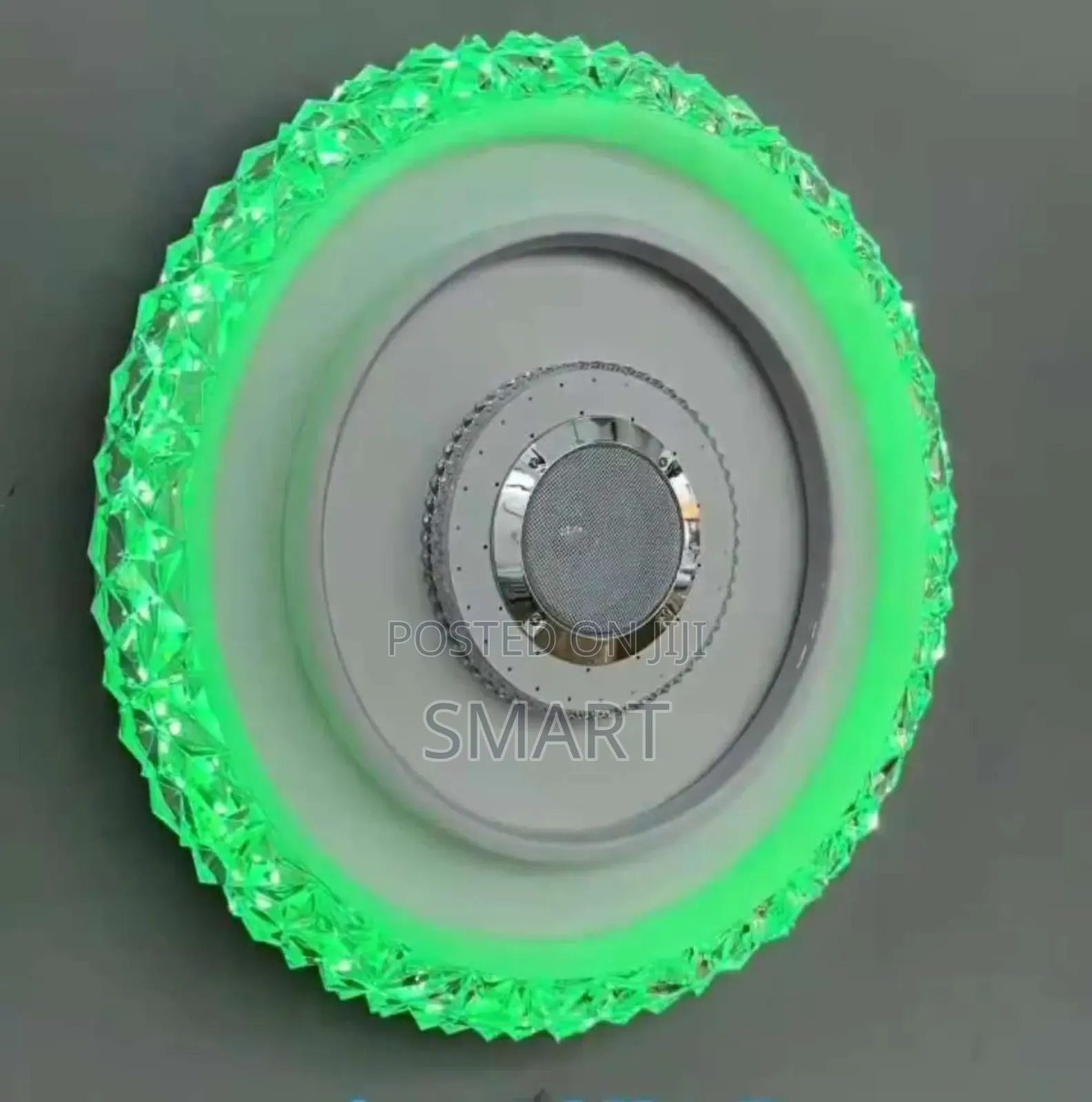 Modern Indoor Living Room Led Ceiling Light With Bluetooth + Remote
