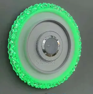 Modern Indoor Living Room Led Ceiling Light With Bluetooth + Remote
