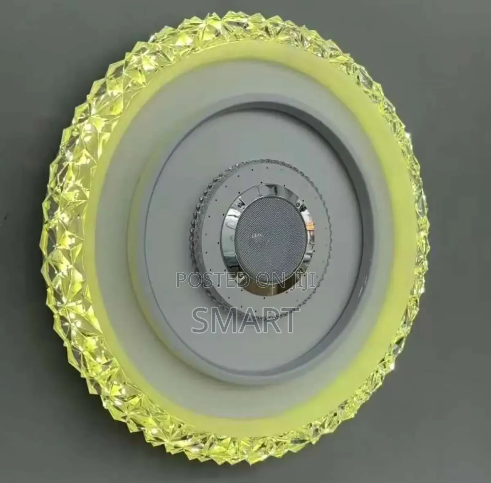 Modern Indoor Living Room Led Ceiling Light With Bluetooth + Remote