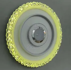 Modern Indoor Living Room Led Ceiling Light With Bluetooth + Remote