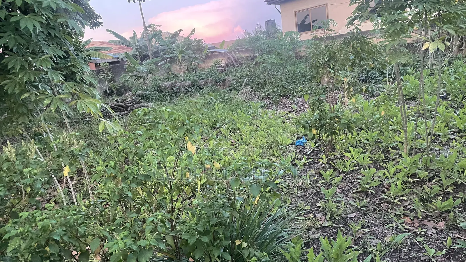 Land for Sale