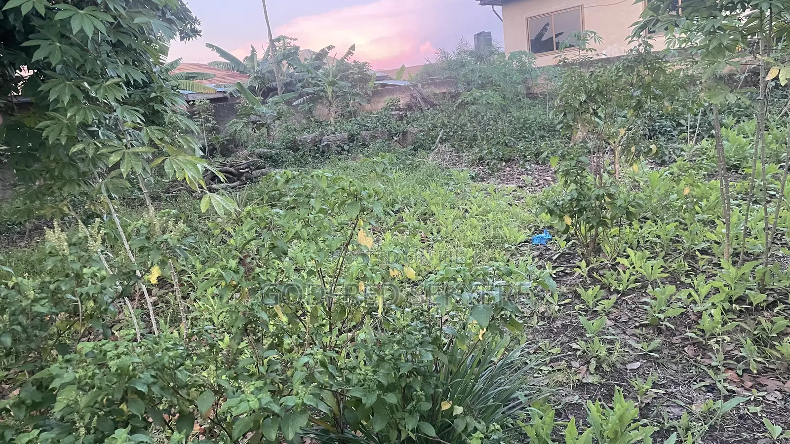 Land for Sale