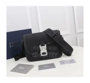 Chic Dior Black Saddle Bag With Premium Packaging