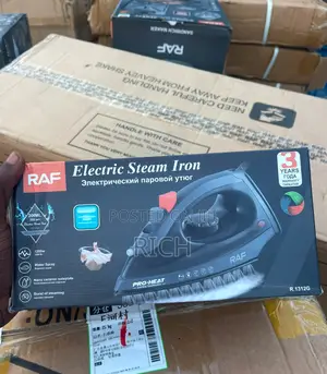 Raf Professional Electric Steam Iron at Wholesale Prices