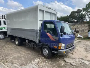Hyundai Mighty