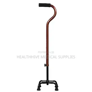Walking Stick/Quad Cane