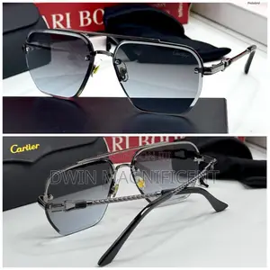 Multiple Branded Sunglasses