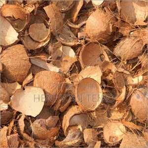 Raw, Uncarbonized Coconut Shells For Sale In Bulk