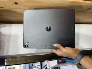 Apple iPad Pro 13 (2024) 256 GB Gray