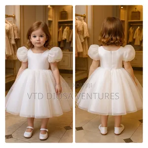 Fancy Princess Dress