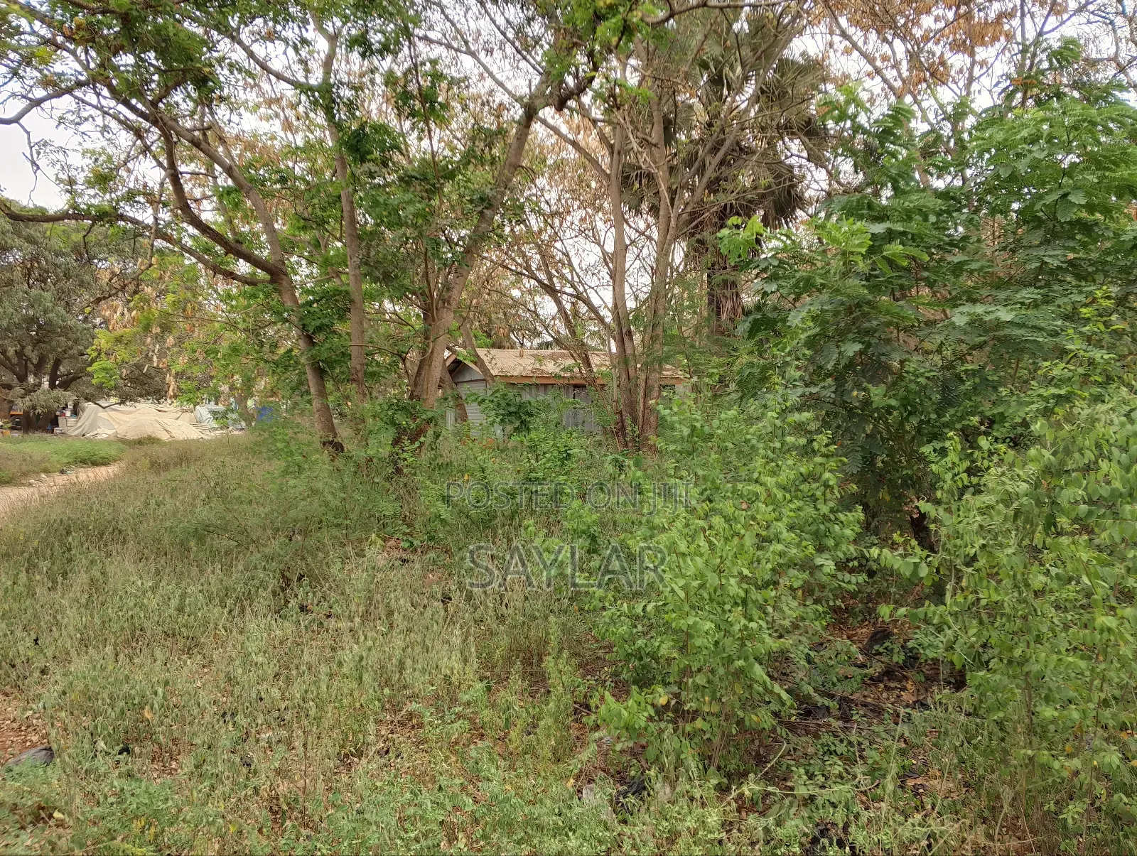 1 Acre Lentil Reach Building Uncompleted Structure for Sale Comm2
