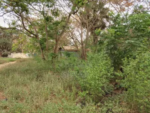 1 Acre Lentil Reach Building Uncompleted Structure for Sale Comm2