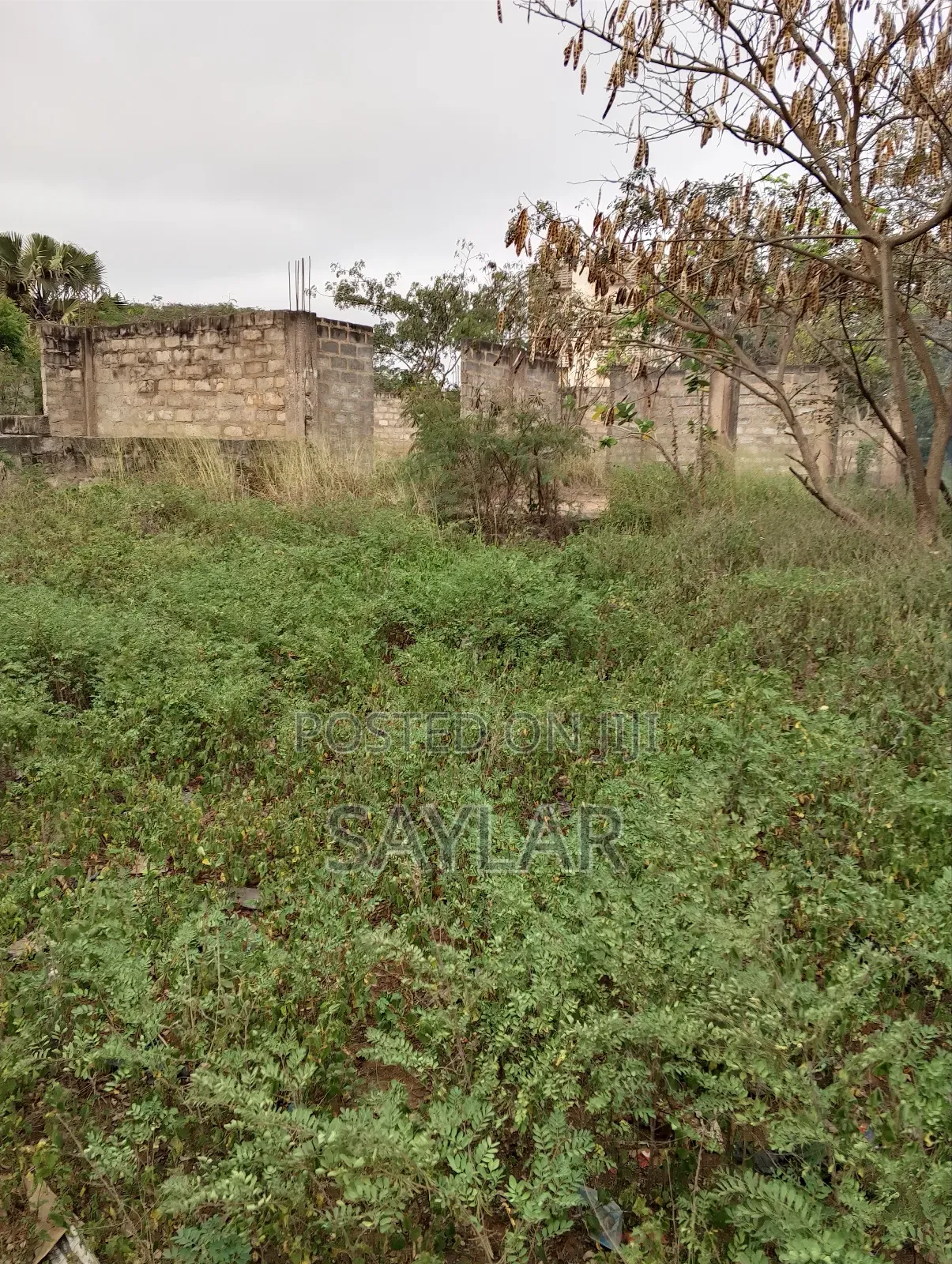 1 Acre Lentil Reach Building Uncompleted Structure for Sale Comm2