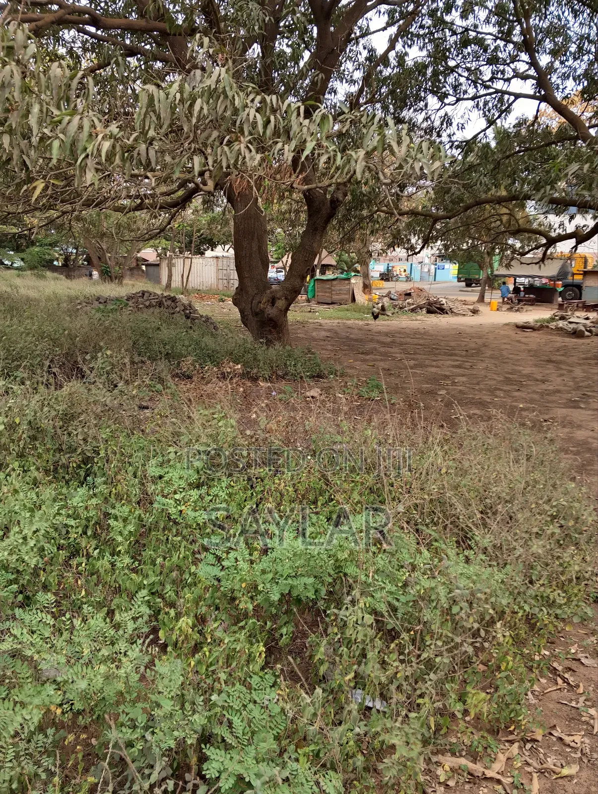 1 Acre Lentil Reach Building Uncompleted Structure for Sale Comm2