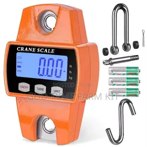 Veidt Ocs-l Portable Crane Scale 300kg