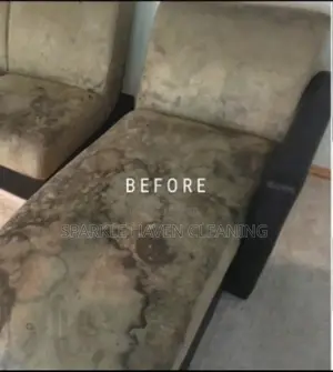 Upholstery and Mattress Cleaning