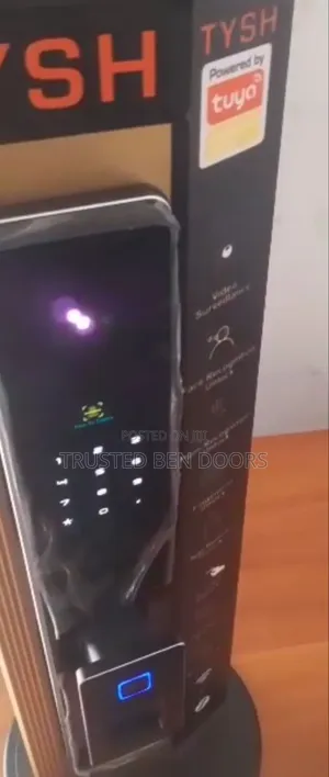 Tuya Wifi Wireless Face Recognition Biometric Smart Lock For All Doors