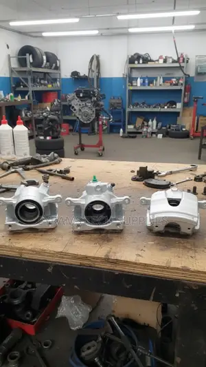 Pagid Caliper