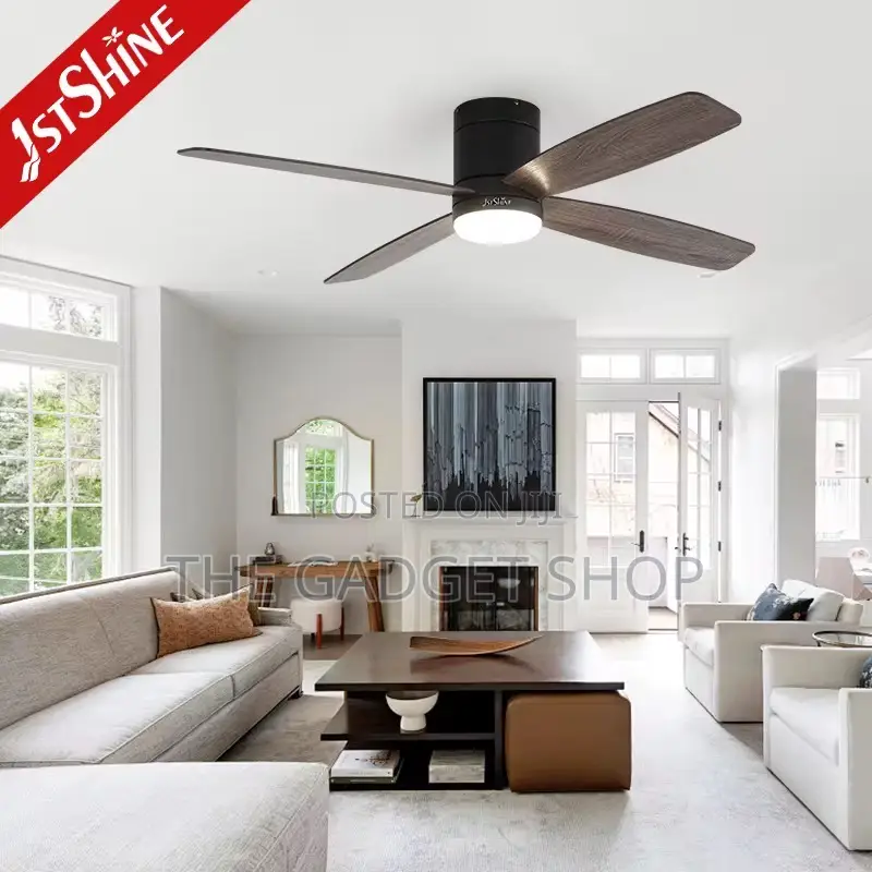 Ceiling Fan With Light(Wooden Blade)