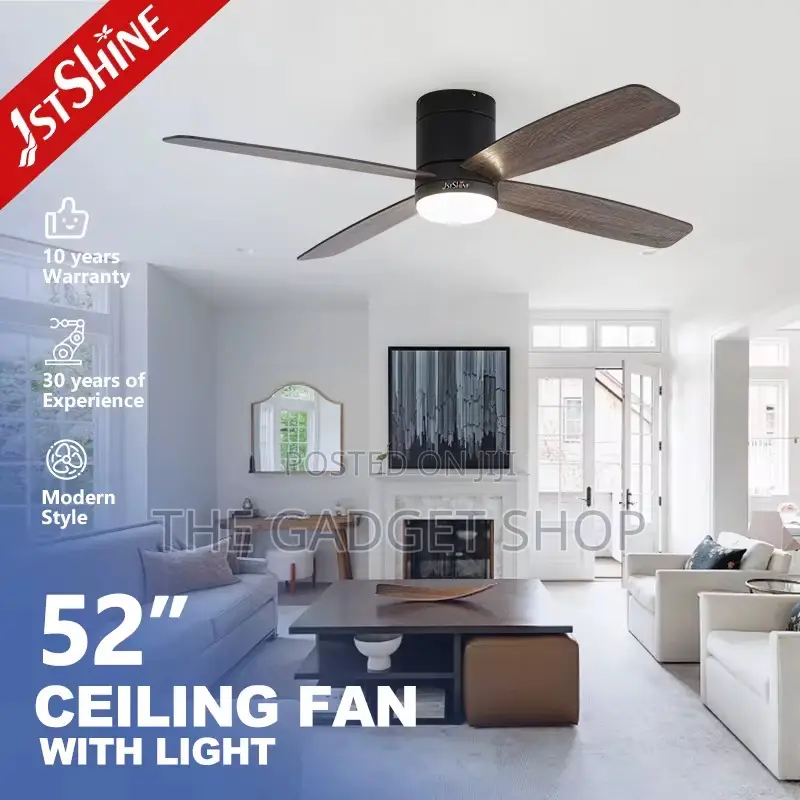 Ceiling Fan With Light(Wooden Blade)