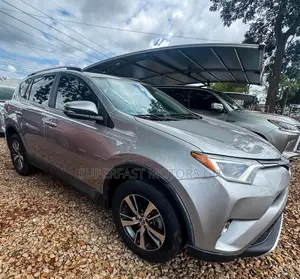 Toyota RAV4 XLE 4dr SUV (2.5L 4cyl 6A) 2018 Gray