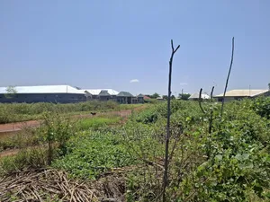 A Big Plot in Tamale, Gbewa Area for Sale