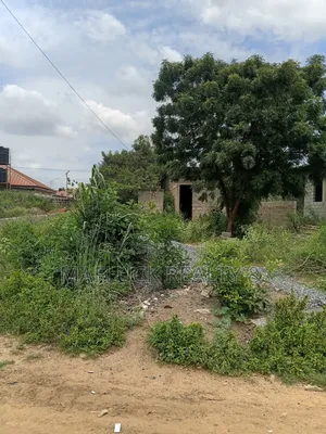 Half Plot at Lakeside