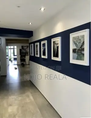 Professional Painting Service