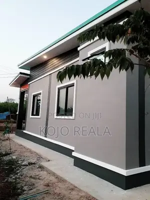 Professional Painting Service