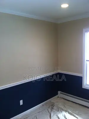 Professional Painting Service