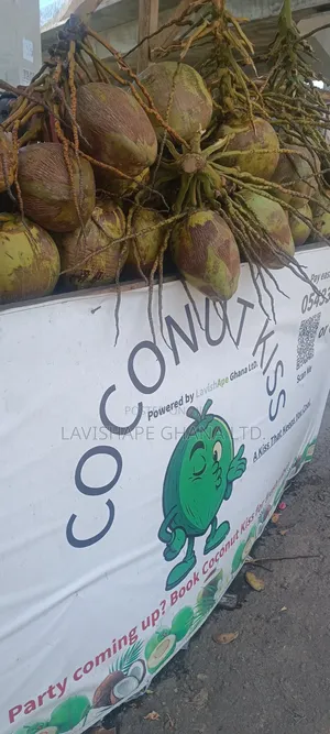 Coconut Seller Wanted