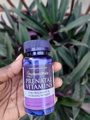 Prenatal Vitamins (100 Caplets)