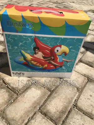 Giant Inflatable Pool/ Beach Ride