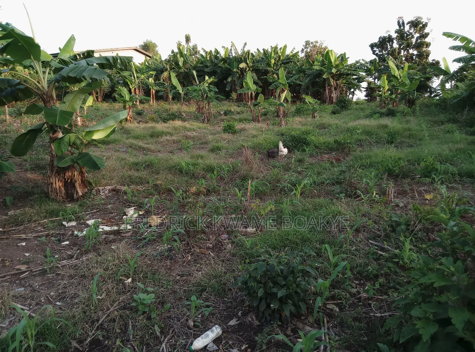 Plot of Land for Sale at Dechemuoso
