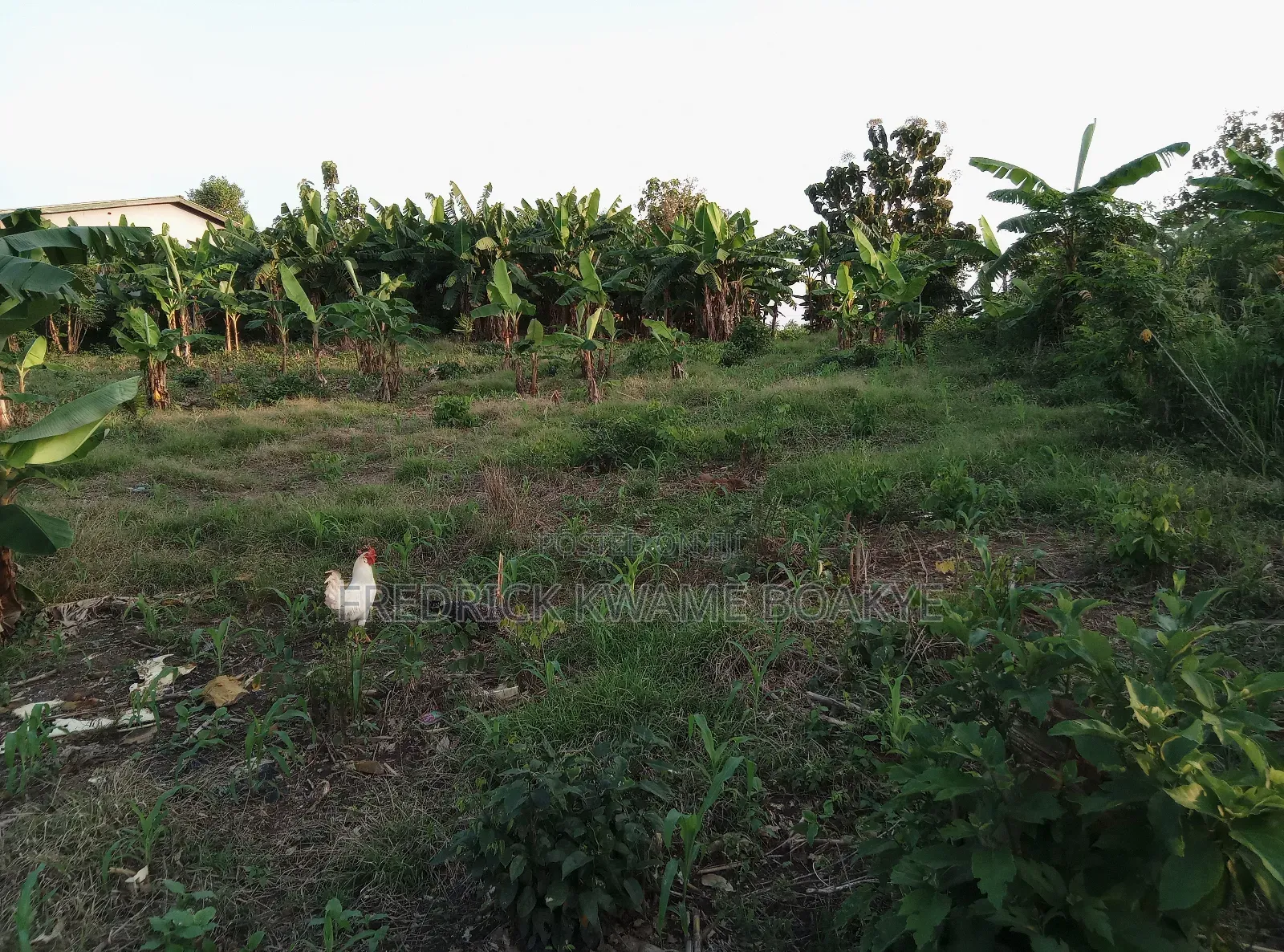 Plot of Land for Sale at Dechemuoso