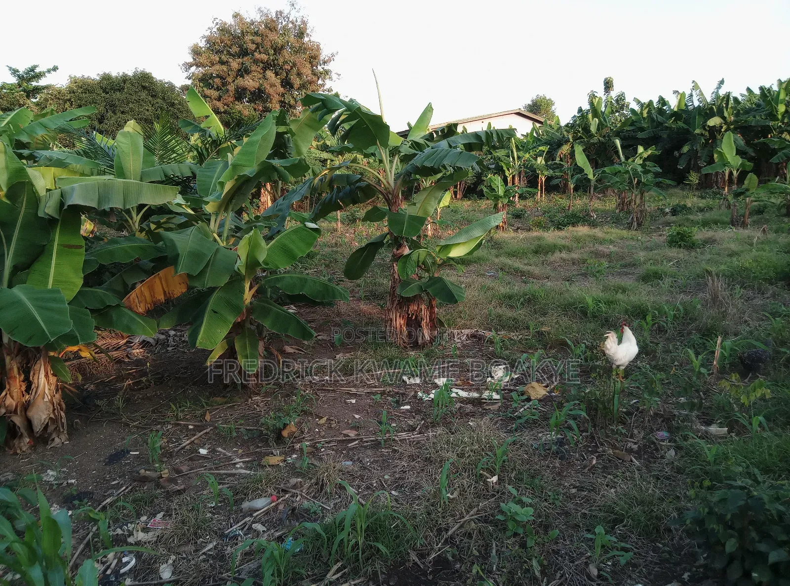 Plot of Land for Sale at Dechemuoso