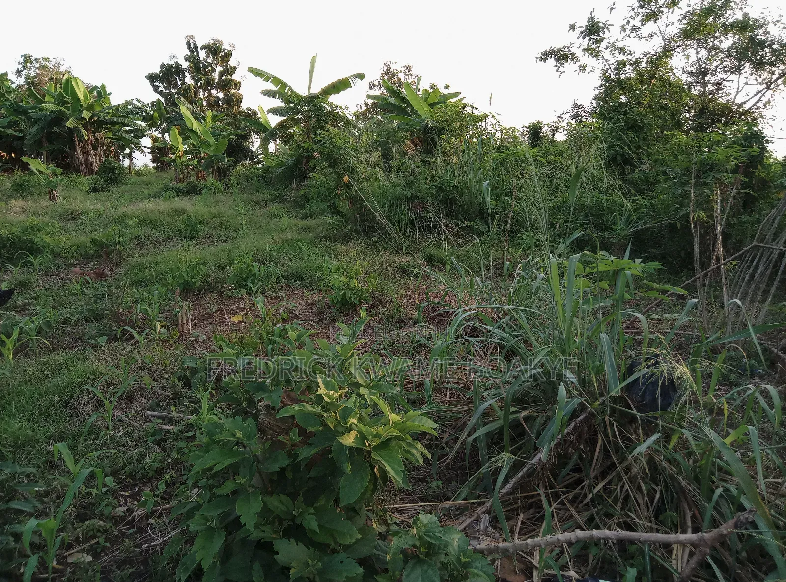 Plot of Land for Sale at Dechemuoso