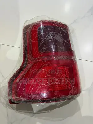 Ford F 150 Back Light