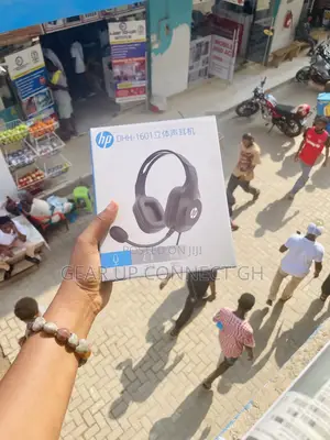 Hp DHH-1601 With Microphone