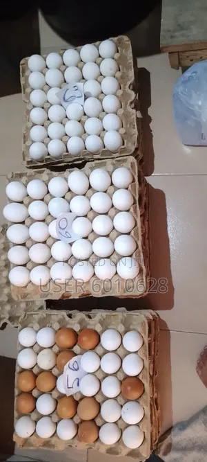Emefa's Eggs