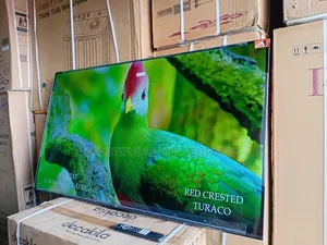 TCL 55-Inch Uhd Smart Television