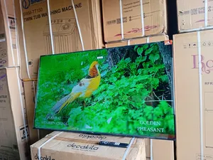TCL 55” Android Smart Tv – Brilliant Display, Smart Control