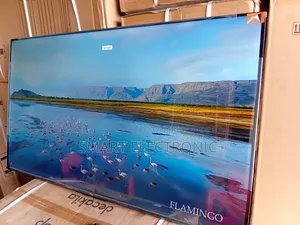 TCL 55inches Endless Streaming Made Simple